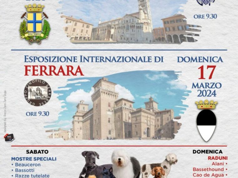 Immagine evento