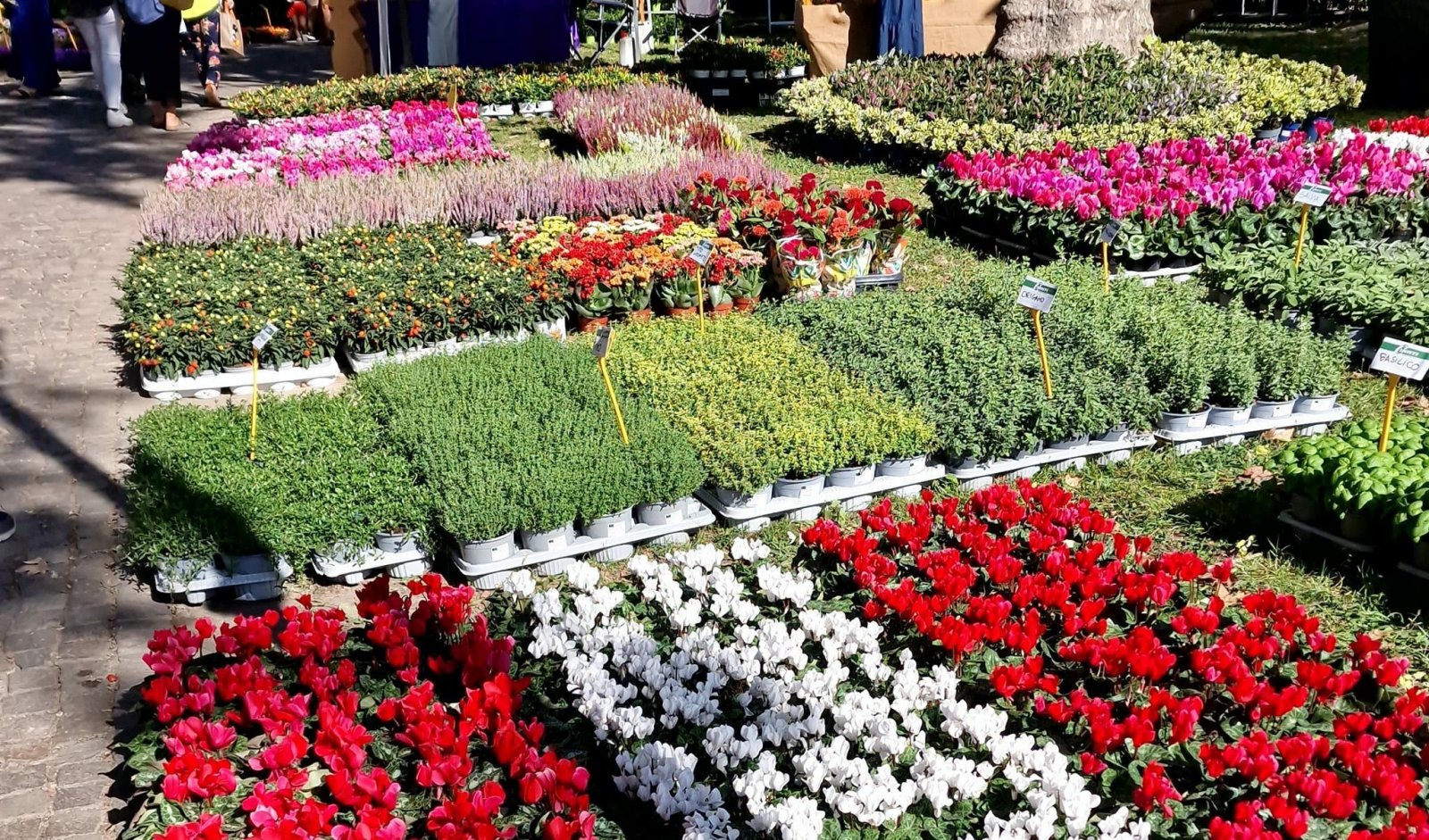 Bandiera da giardino personalizzata Fiore di rosa Fiore Rosso Amore Doppio Lato Esterno Piccolo Cortile Bandiera per Decorazioni Outdoor Segni Decor