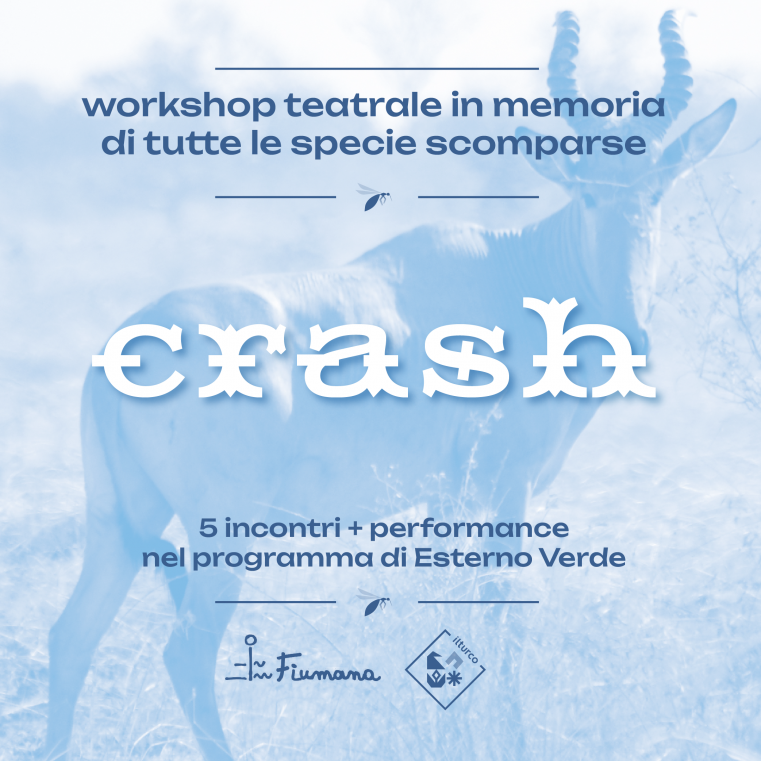 immagine evento