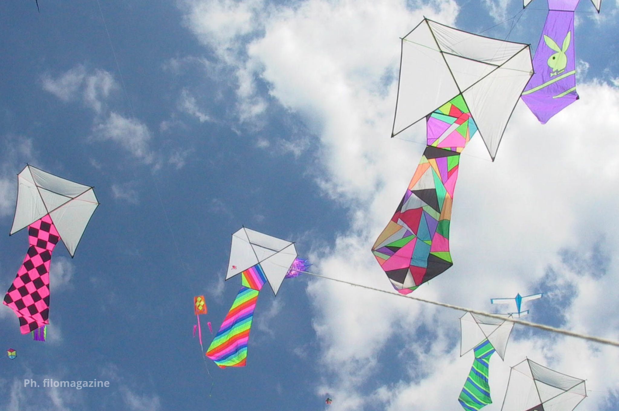 the international kite festival a Ferrara
