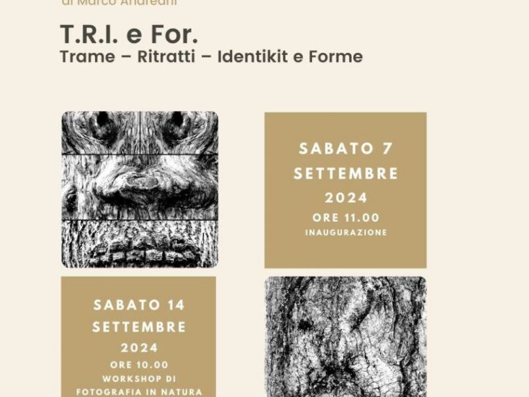 Immagine evento