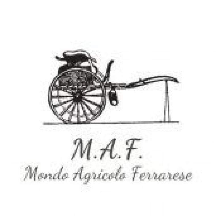 immagine evento