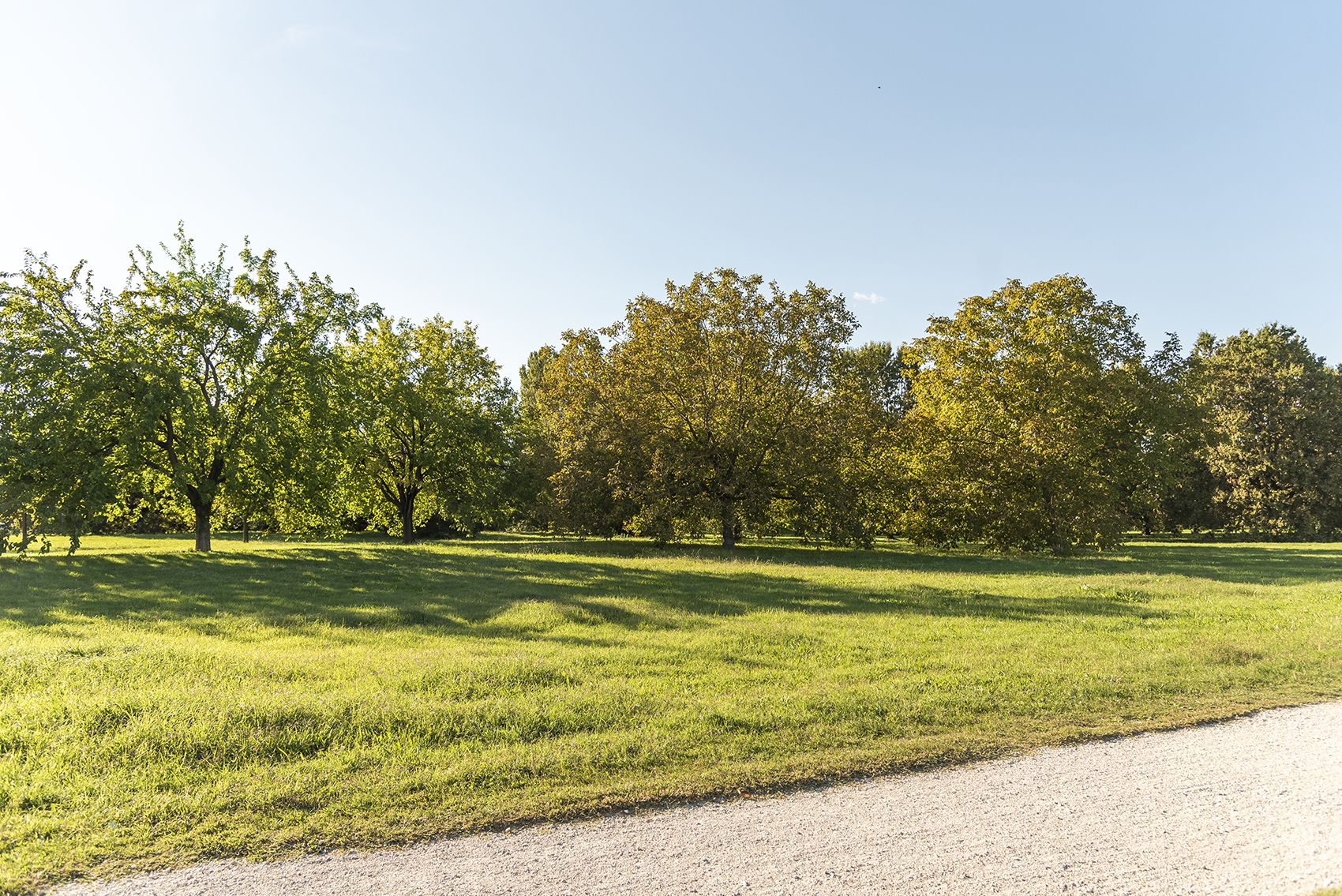 Ferrara Parco Urbano