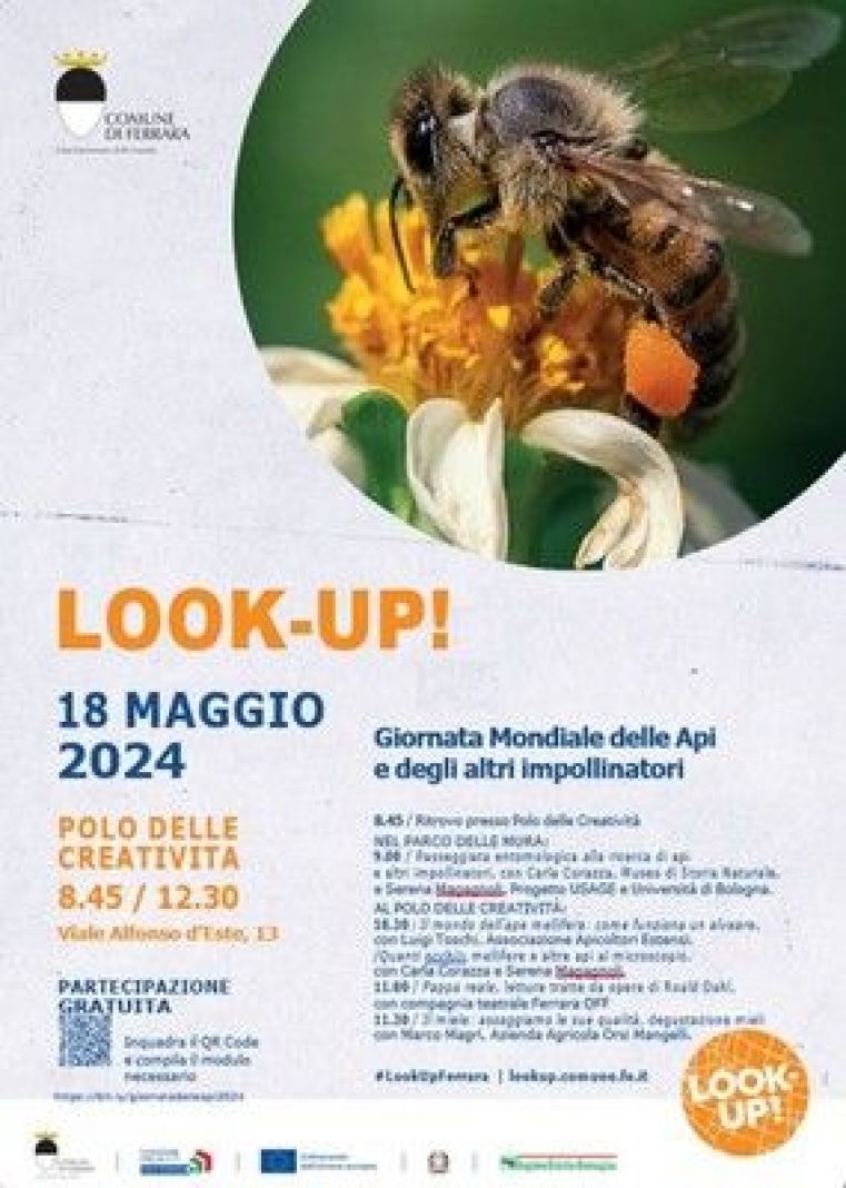 Immagine evento