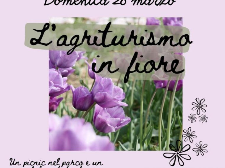 Immagine evento