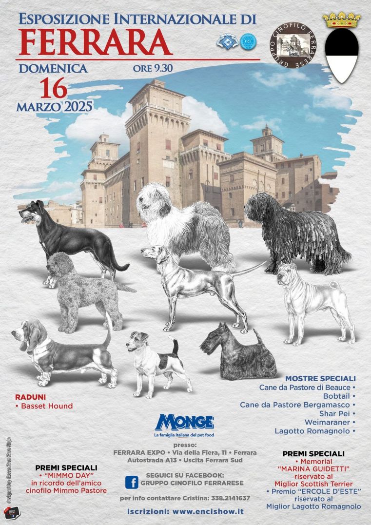 Immagine evento