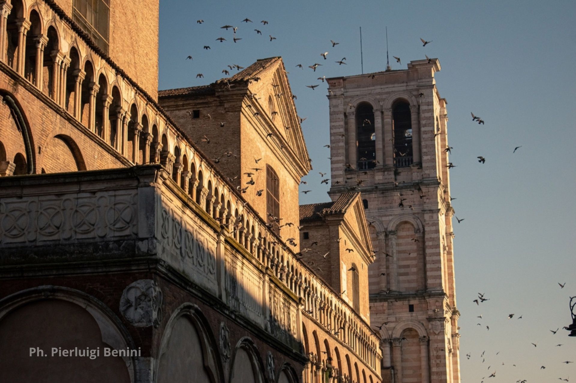 Infe_Duomo di Ferrara