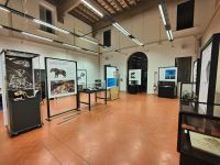 immagine evento