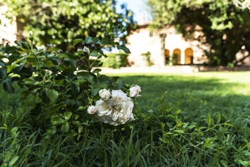 Palazzina Marfisa d'Este Ferrara