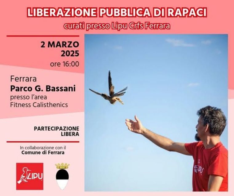 Immagine evento