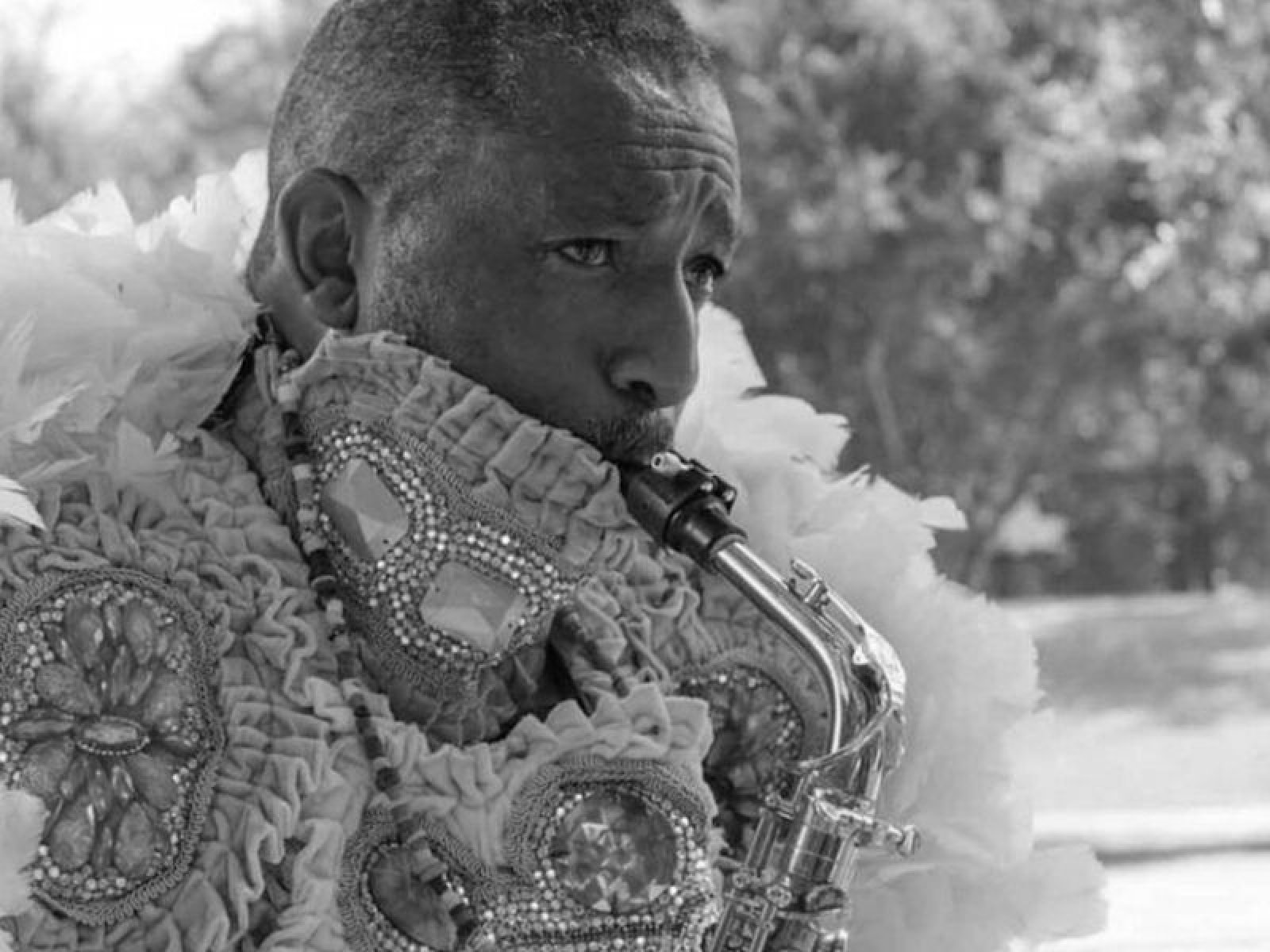 Big Chief Donald Harrison Quartet InFerrara