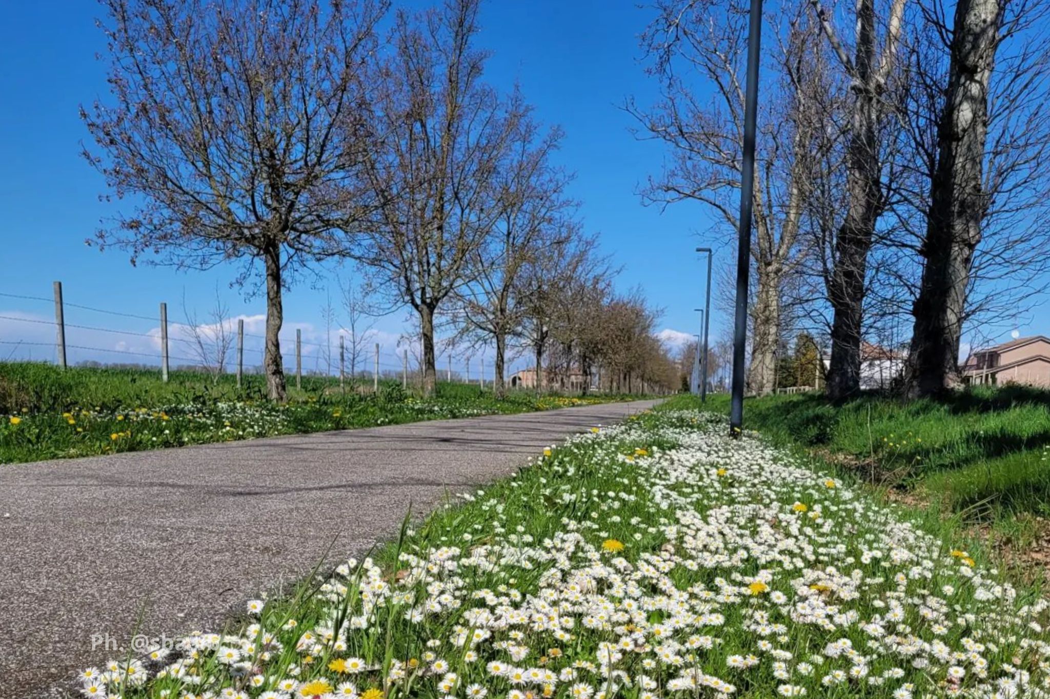 Ferrara Ciclabile Francolino