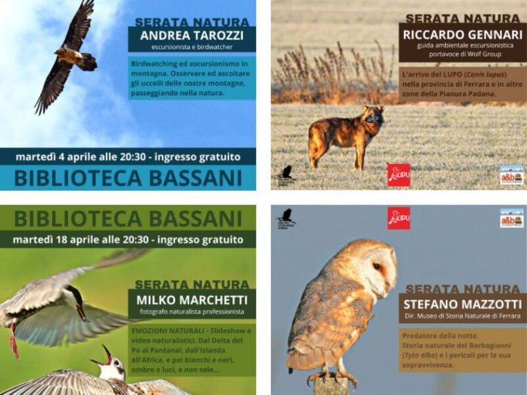 Immagine evento